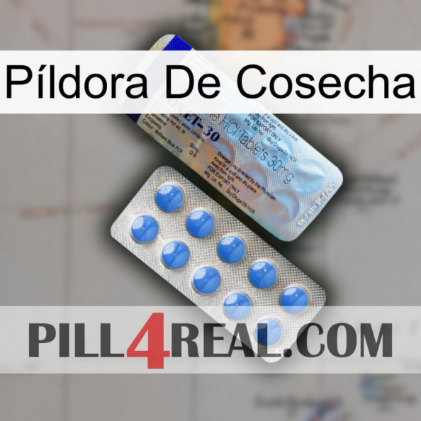 Píldora De Cosecha 39.jpg